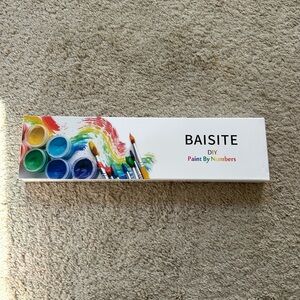 DIY Paint By Numbers Kit - Multicolor